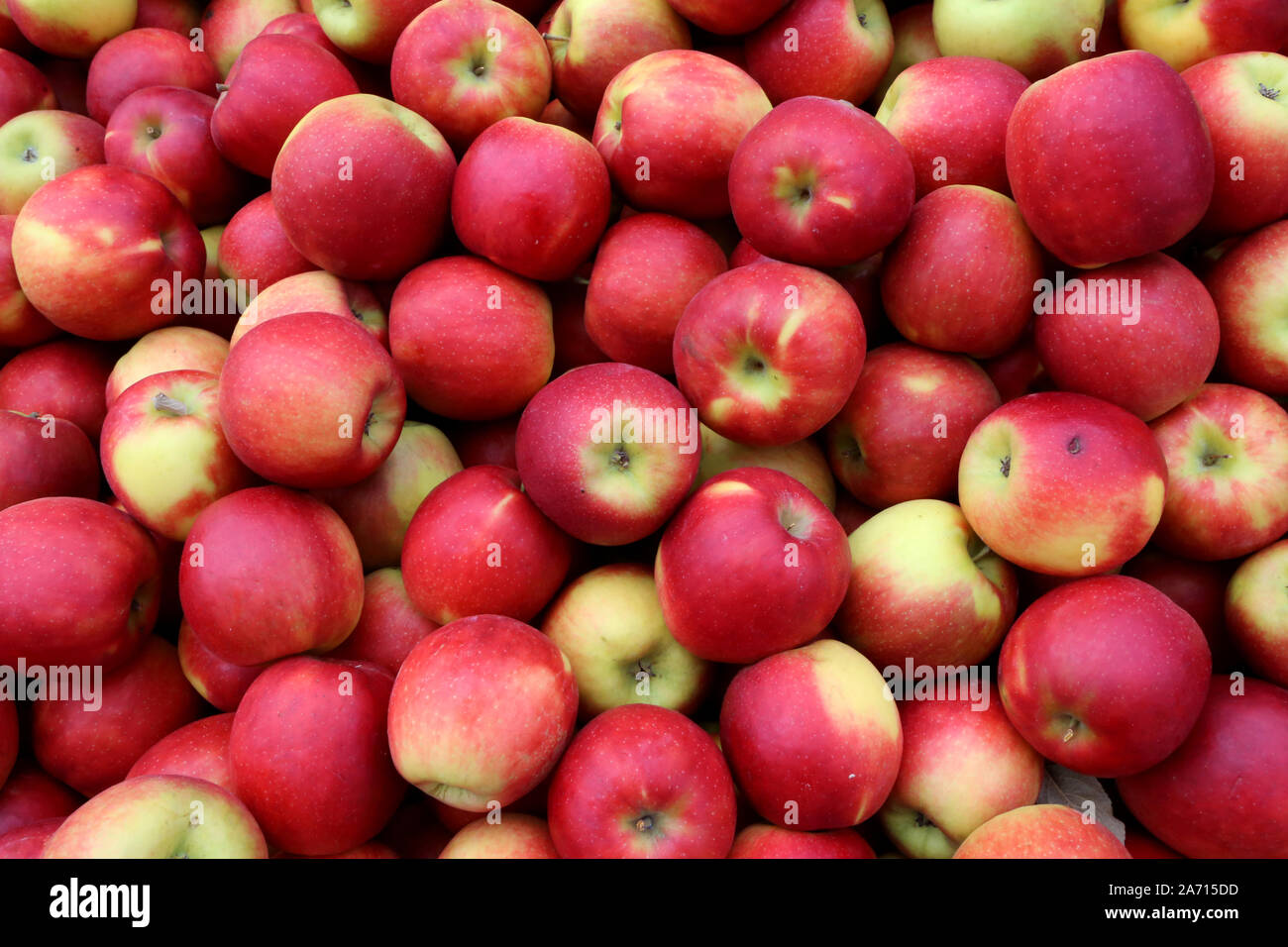 Pommes Cripson. Stock Photo