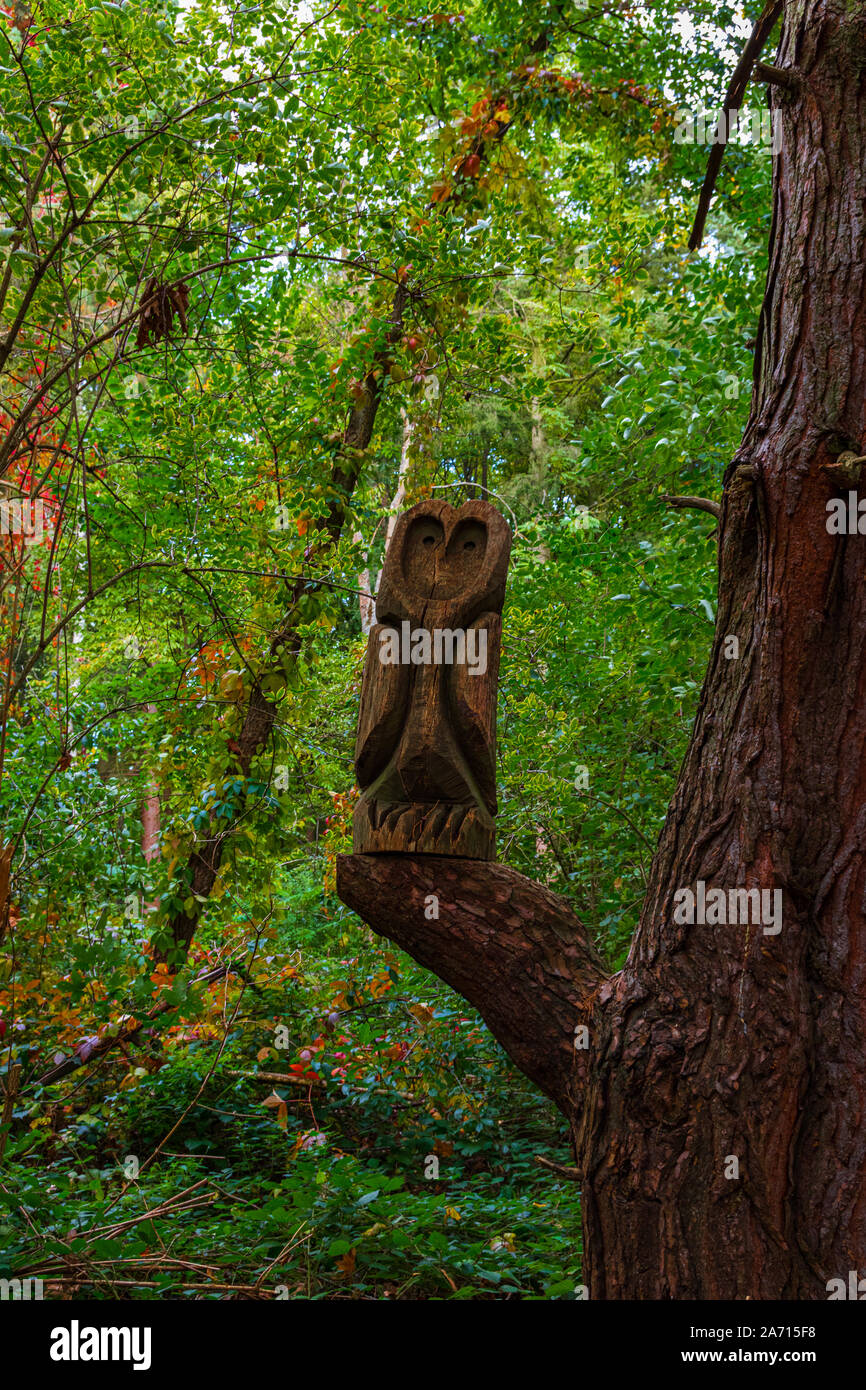 Wooden owl on a tree in the forest Stock Photo