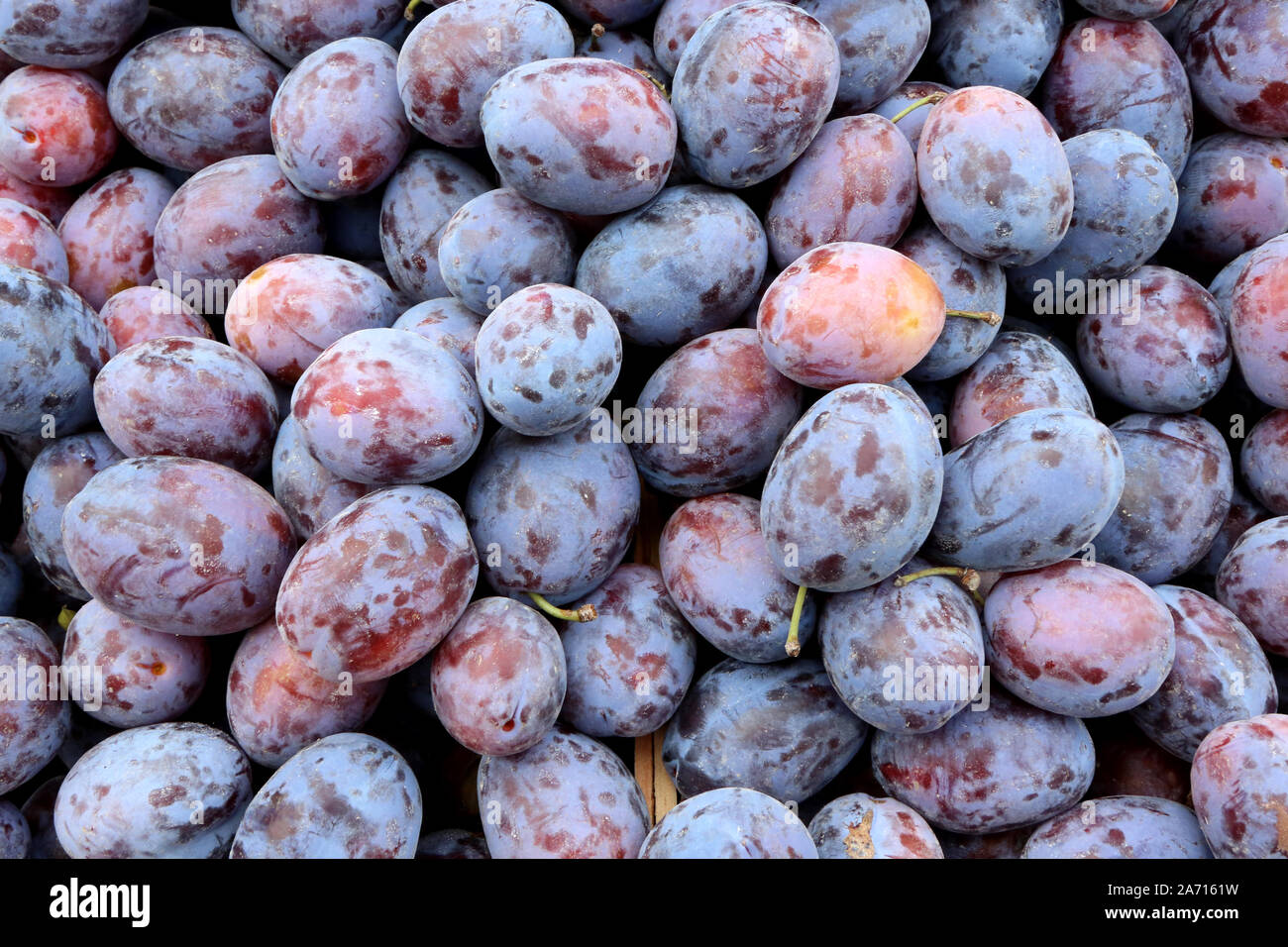 Prunes Stock Photo