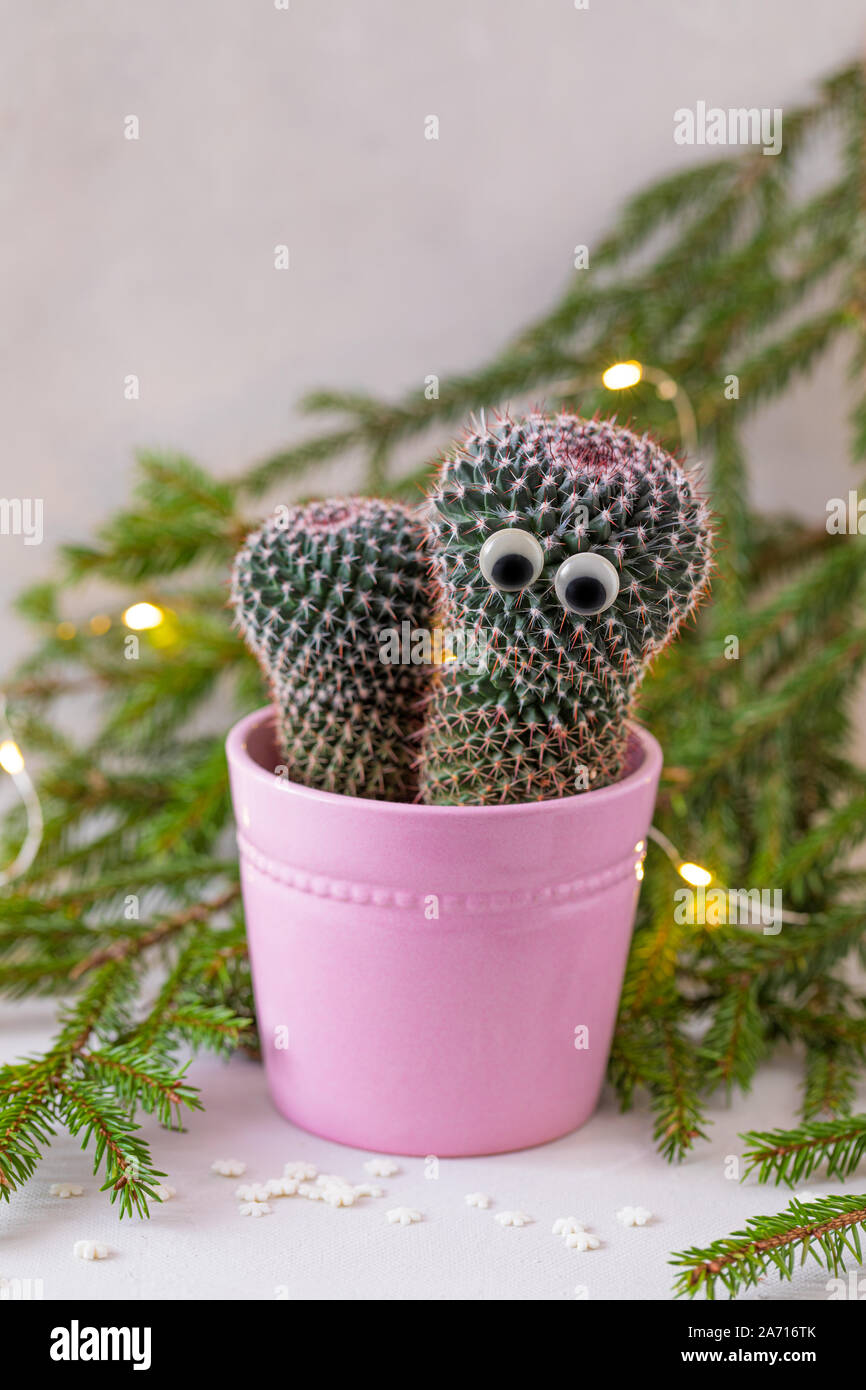 Doodle Potted Plants Clipart Hand Drawn Plants Potted Succulent