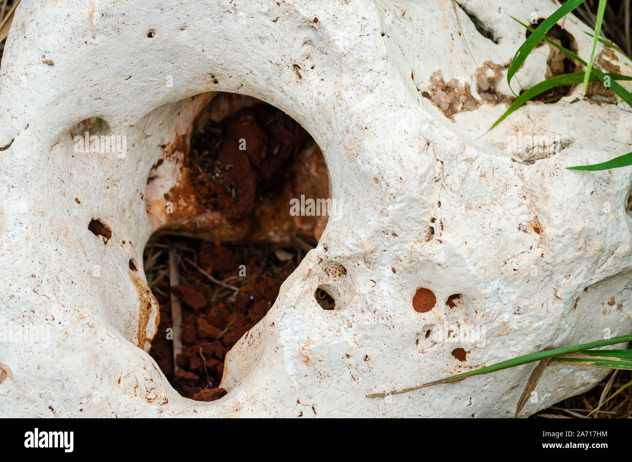 Natural cavity in the rock hi-res stock photography and images - Alamy