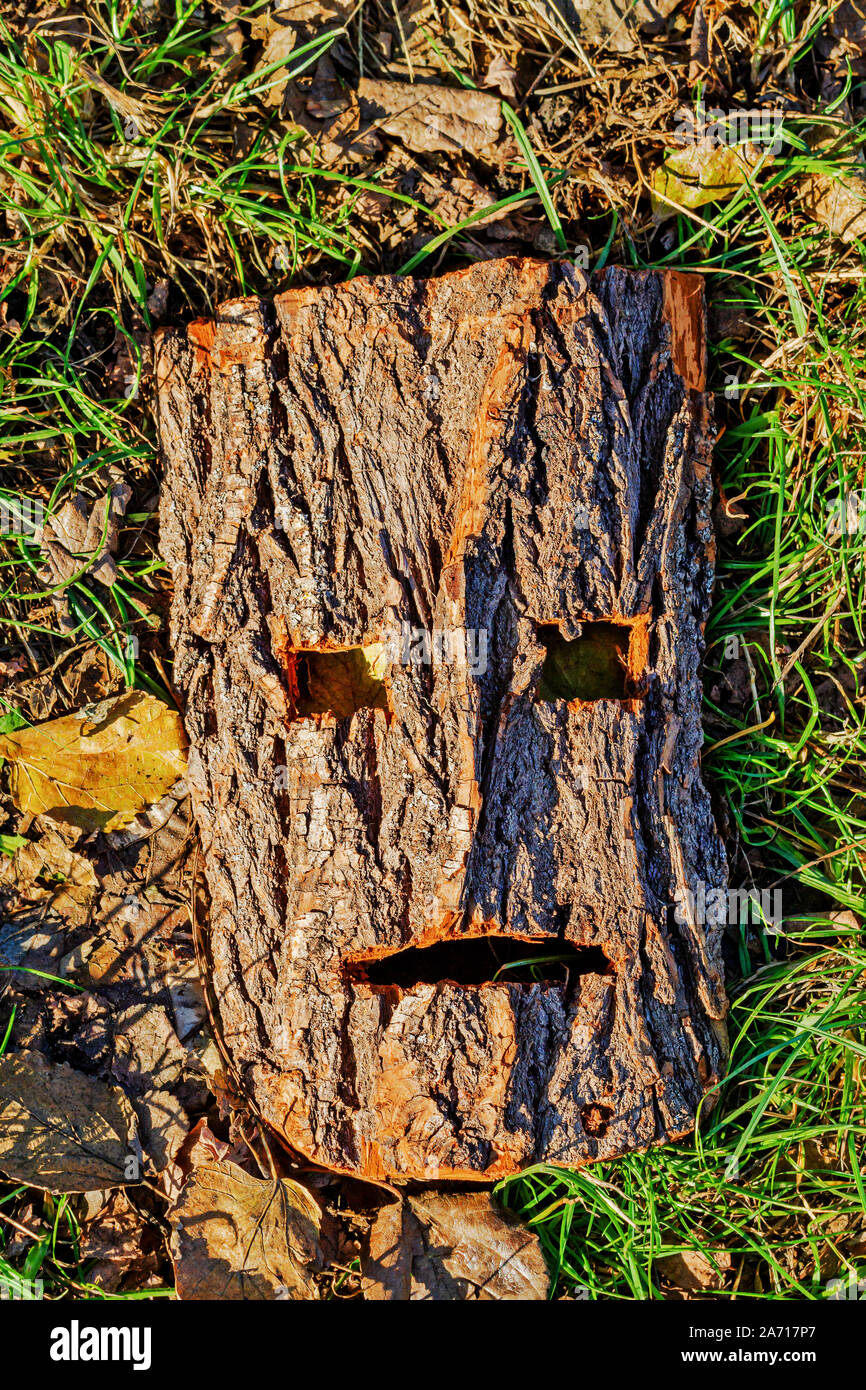 mask of pagan god carved from the bark Stock Photo