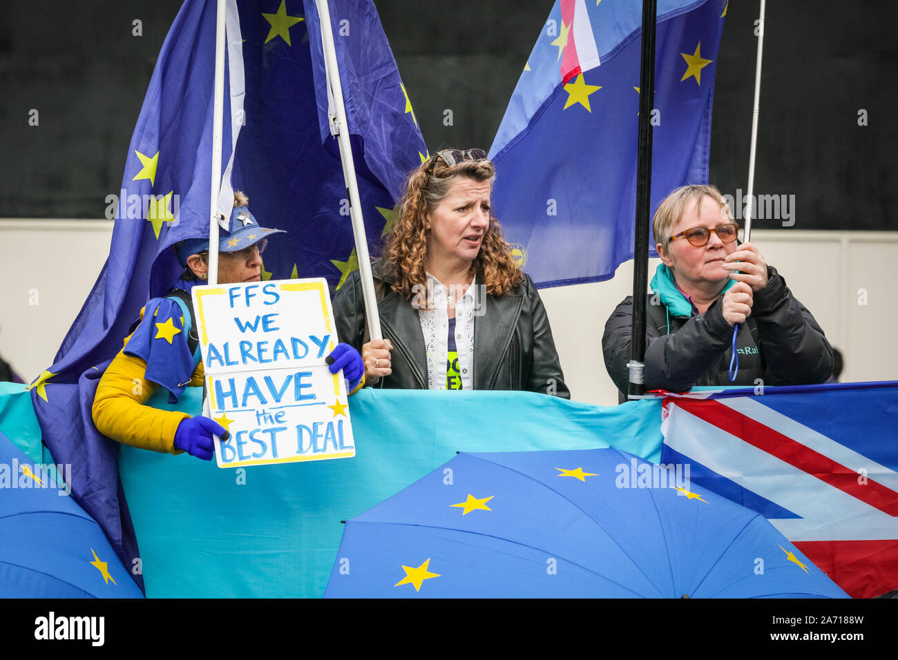 London, UK, 29th Oct 2019. Remain protesters chat as debates continue. Pro and Anti-Brexit protesters  have once again brought out placards, banners and flags to the Houses of Parliament, as MPs debate and vote on a possible general election inside the Palace of Westminster. Credit: Imageplotter/Alamy Live News Stock Photo