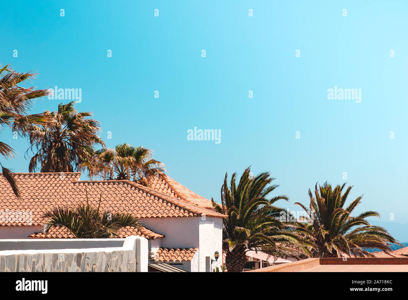 house roofs, palm trees and blue sky copy space - Stock Photo