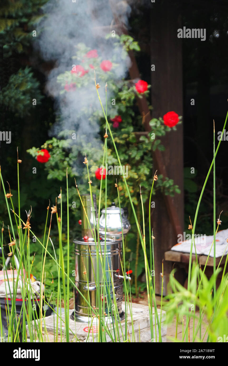 A samovar with cooking tea and its samovar in a garden with roses Stock Photo