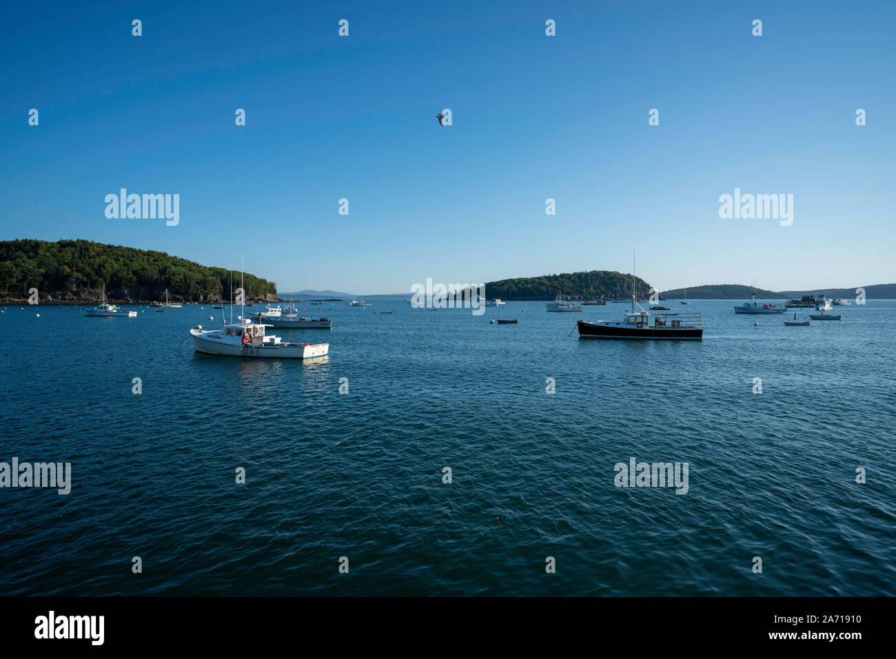 Lobster Boats at Bar Harbor Maine Stock Photo Alamy