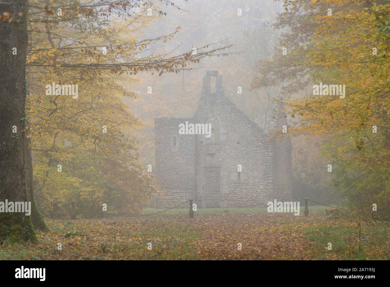 France, Loir et Cher, Loire Valley listed as World Heritage by UNESCO, Cellettes, Chateau de Beauregard, park and gardens, chapel dated 15th century, Stock Photo