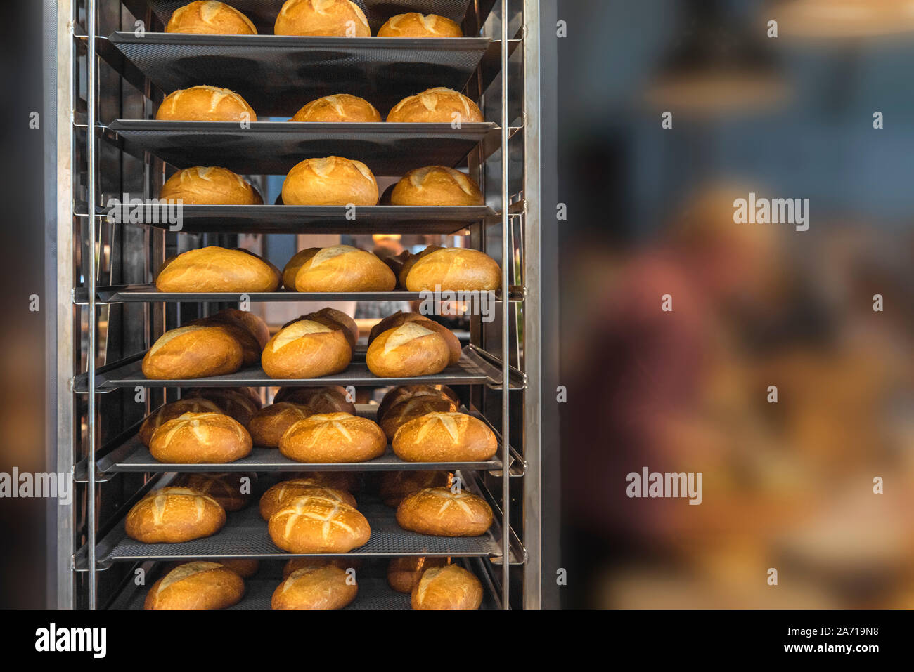 Bread buns freshly baked on the metal rack trolley. Bakery metal tray just  removed from the oven full with white bread Stock Photo - Alamy