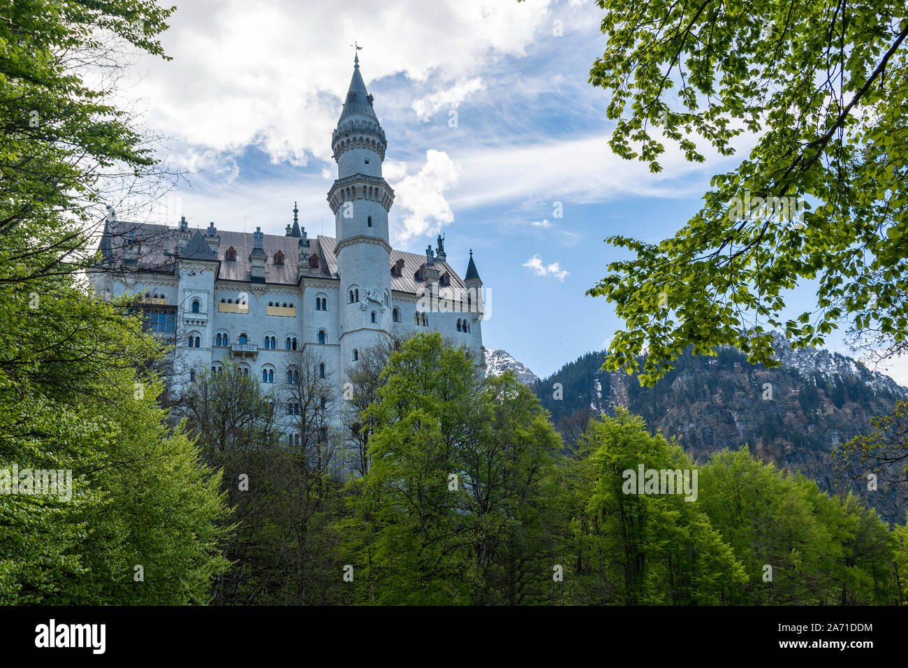 Neuschwanstein castle in Germany from North framed with birches and  a clody sky and mountain in background. Stock Photo