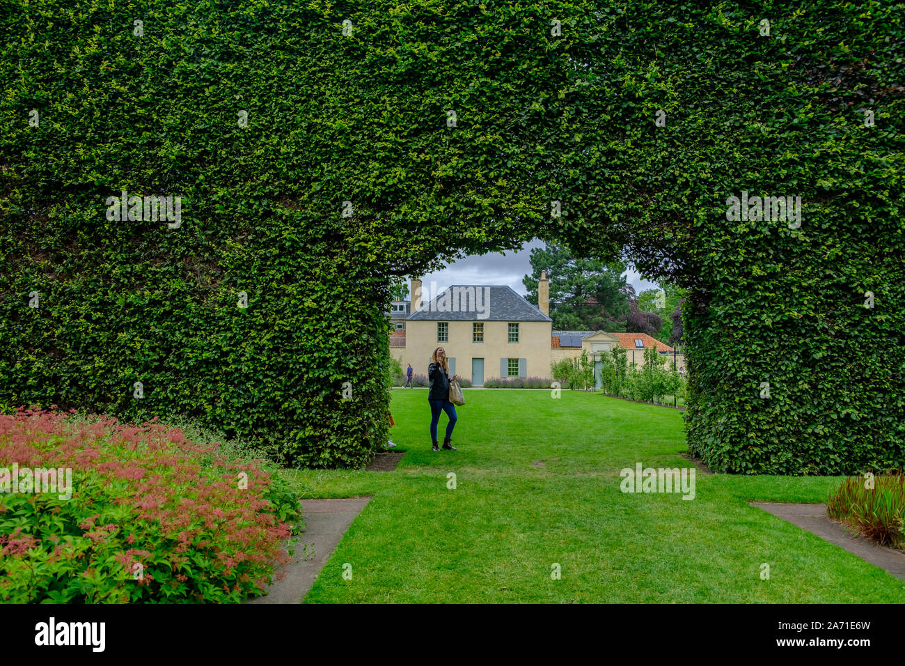 Edinburgh, United Kingdom - July 5, 2019: View of a woman standing at the opening in a long bush fence at the Royal Botanic Garden in Edinburgh, Scotl Stock Photo