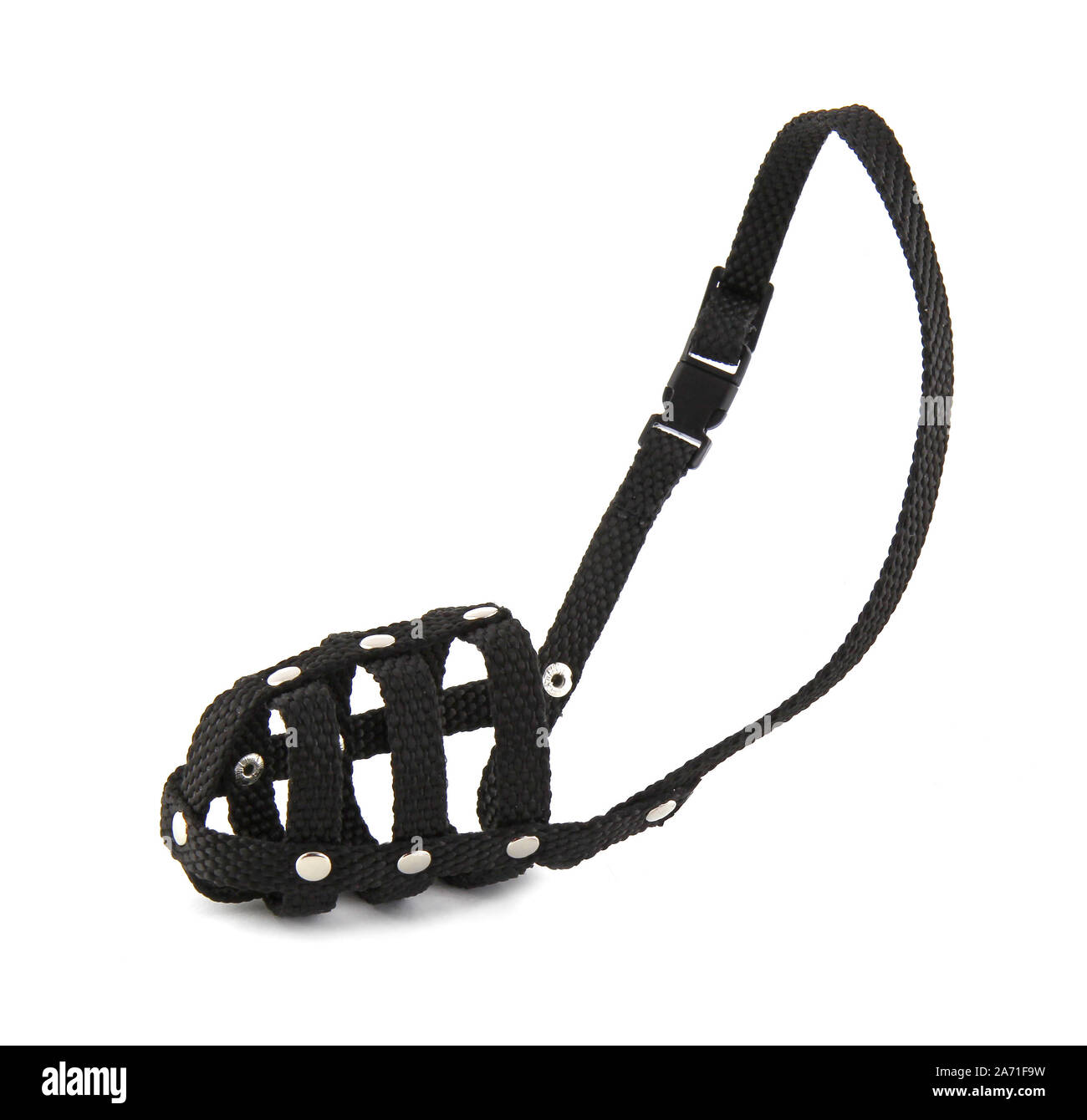 Muzzle dog isolated on white background. The muzzle basket is black