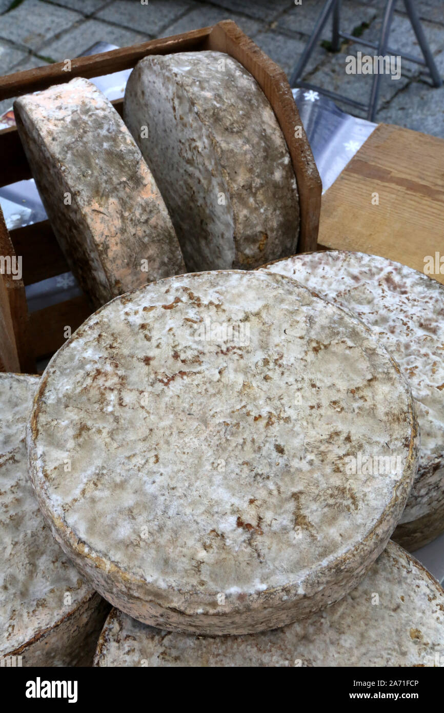 Tome de Savoie. / French cheese. Stock Photo