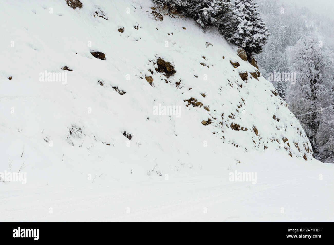 Landscape view of snowy hills with pine trees Stock Photo - Alamy