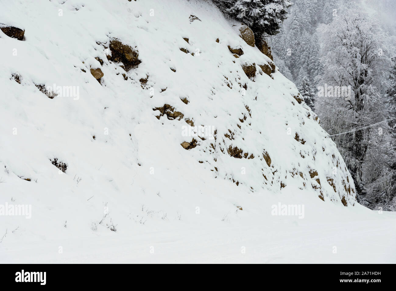 Landscape view of snowy hills with pine trees Stock Photo - Alamy