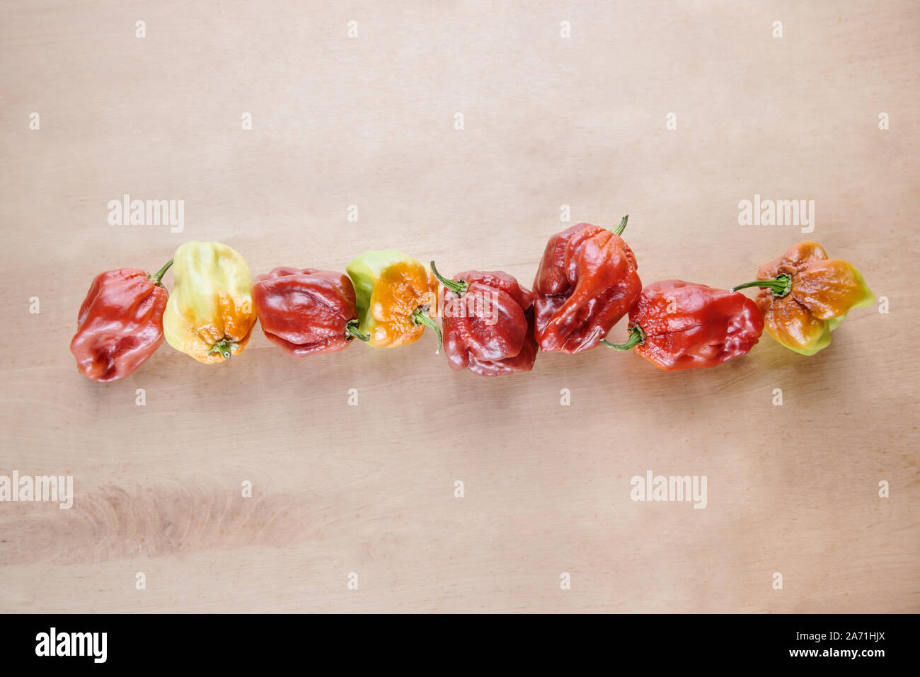 Red Hot Chilli pepper Scotch Bonnet Caribbean Antillais on wooden background colourful in a row Stock Photo