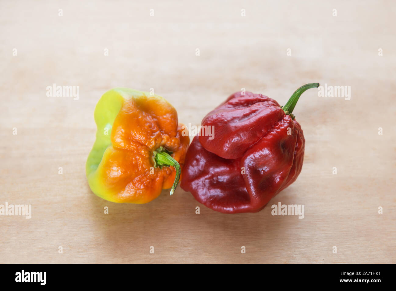 Red Hot Chilli pepper Scotch Bonnet Caribbean Antillais on wooden background colourful Stock Photo