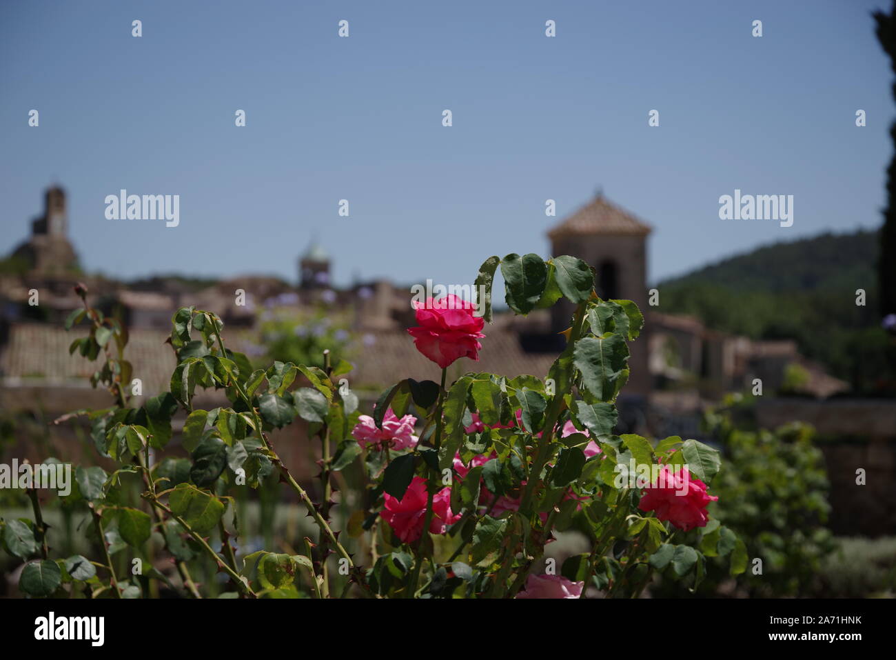 Red and pink roses in front of a castle in Provence in France Stock Photo