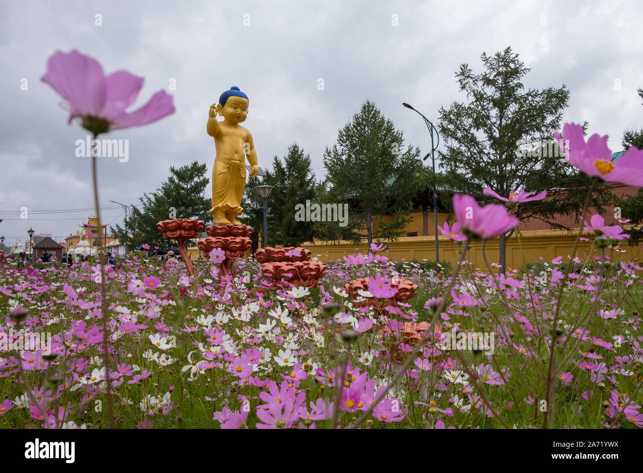 Flowers around a golden Budha statue Stock Photo