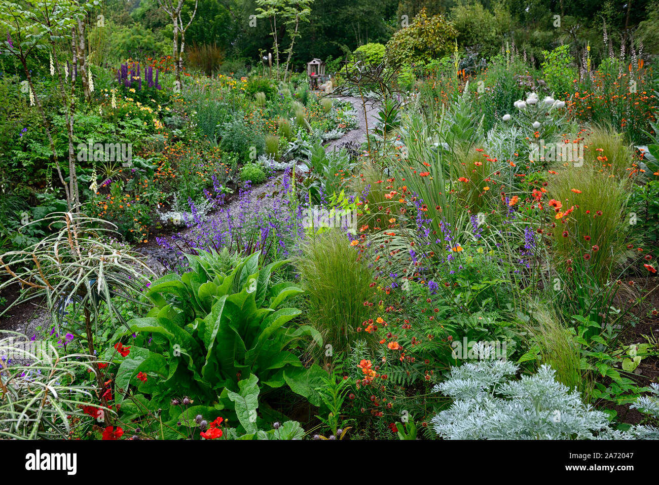 Hunting Brook Gardens,Wicklow,Ireland,Jimi Blake,Plantsman,Garden ...