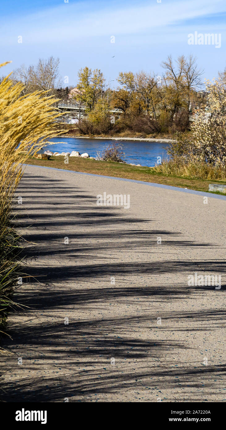 Path Walk Shad shadowes along the walking path Stock Photo - Alamy