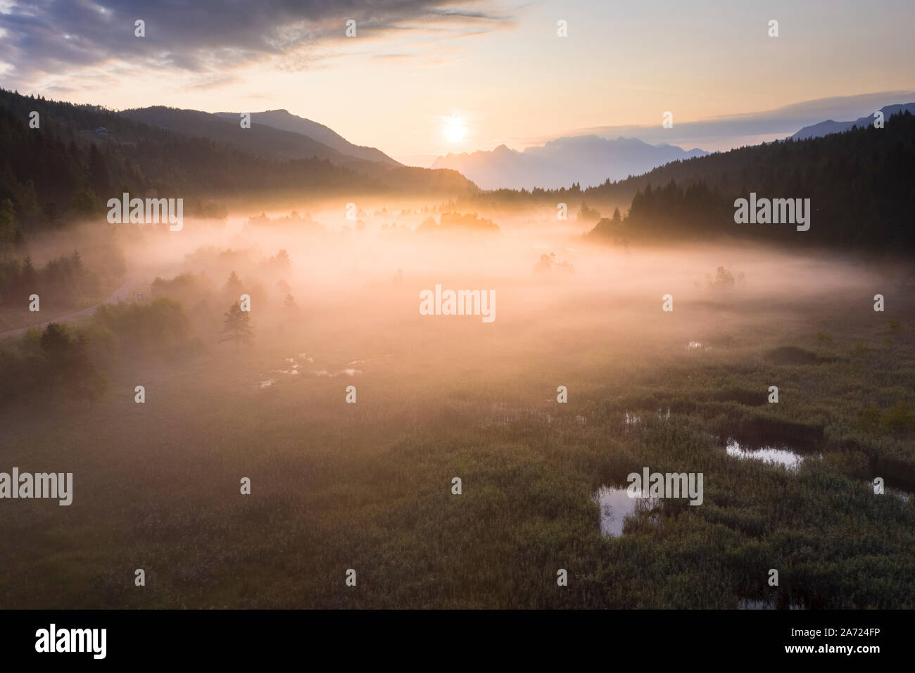 Fog covering plants on wetland and swamp of Pian di Gembro Nature Reserve, aerial view, Aprica, Valtellina, Lombardy, Italy Stock Photo