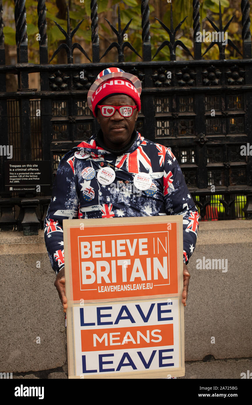 London, UK. 29th October 2019. Pro-Brexit campaigner outside Parliament. Credit: Joe Kuis / Alamy News Stock Photo