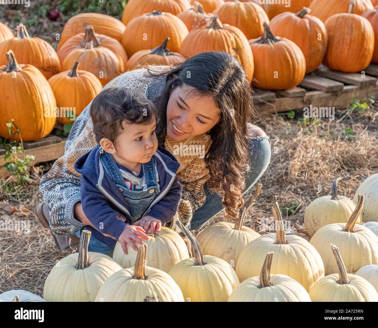 A Mom and her young son choosing a pumpkin Stock Photo