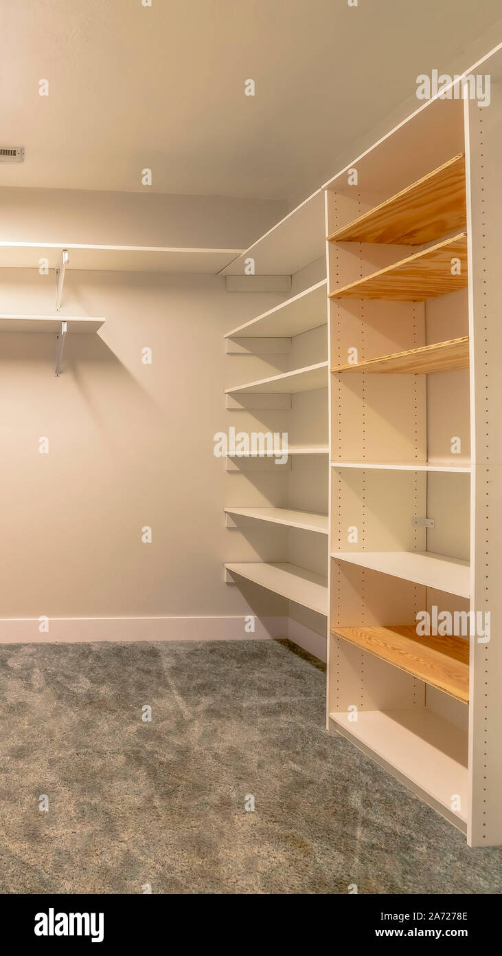 Vertical frame Empty walk in closet of a new house with shelves ...