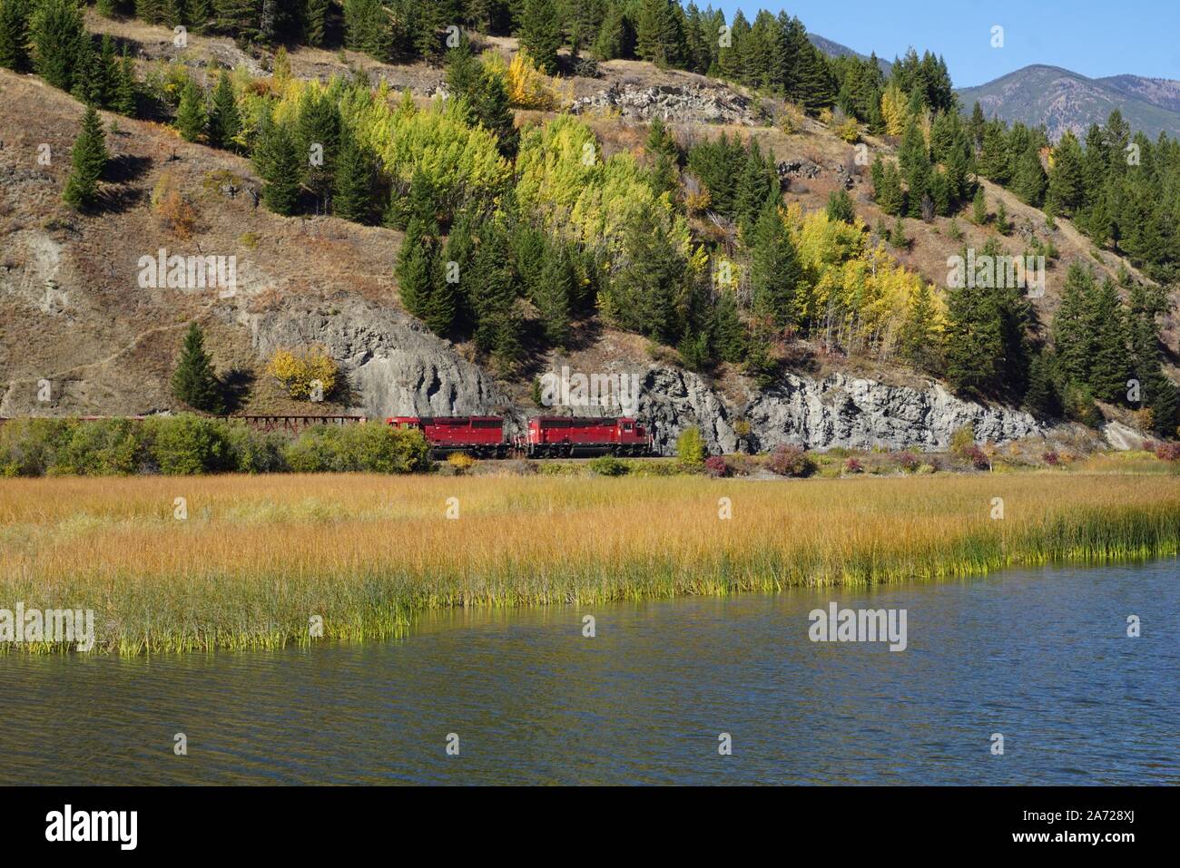 train going through autumn landscape Stock Photo