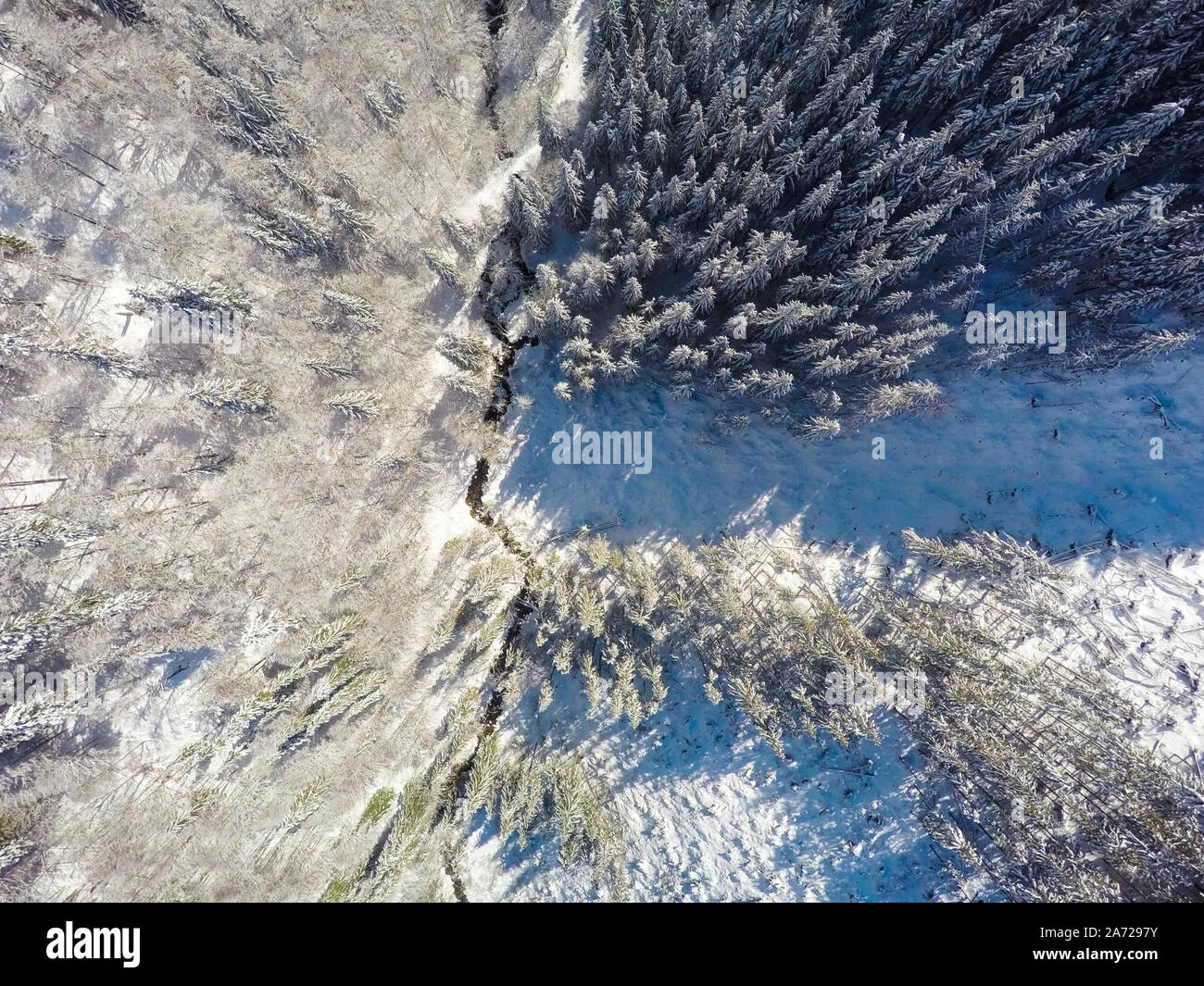 Aerial View Of Snow Covered Forest Stock Photo - Alamy