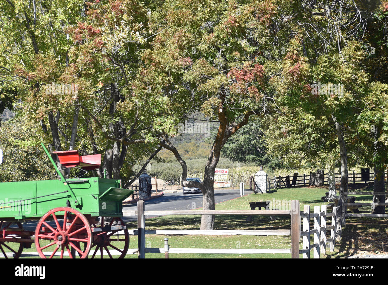Picnic Area in an Apple Orchard Stock Photo Alamy
