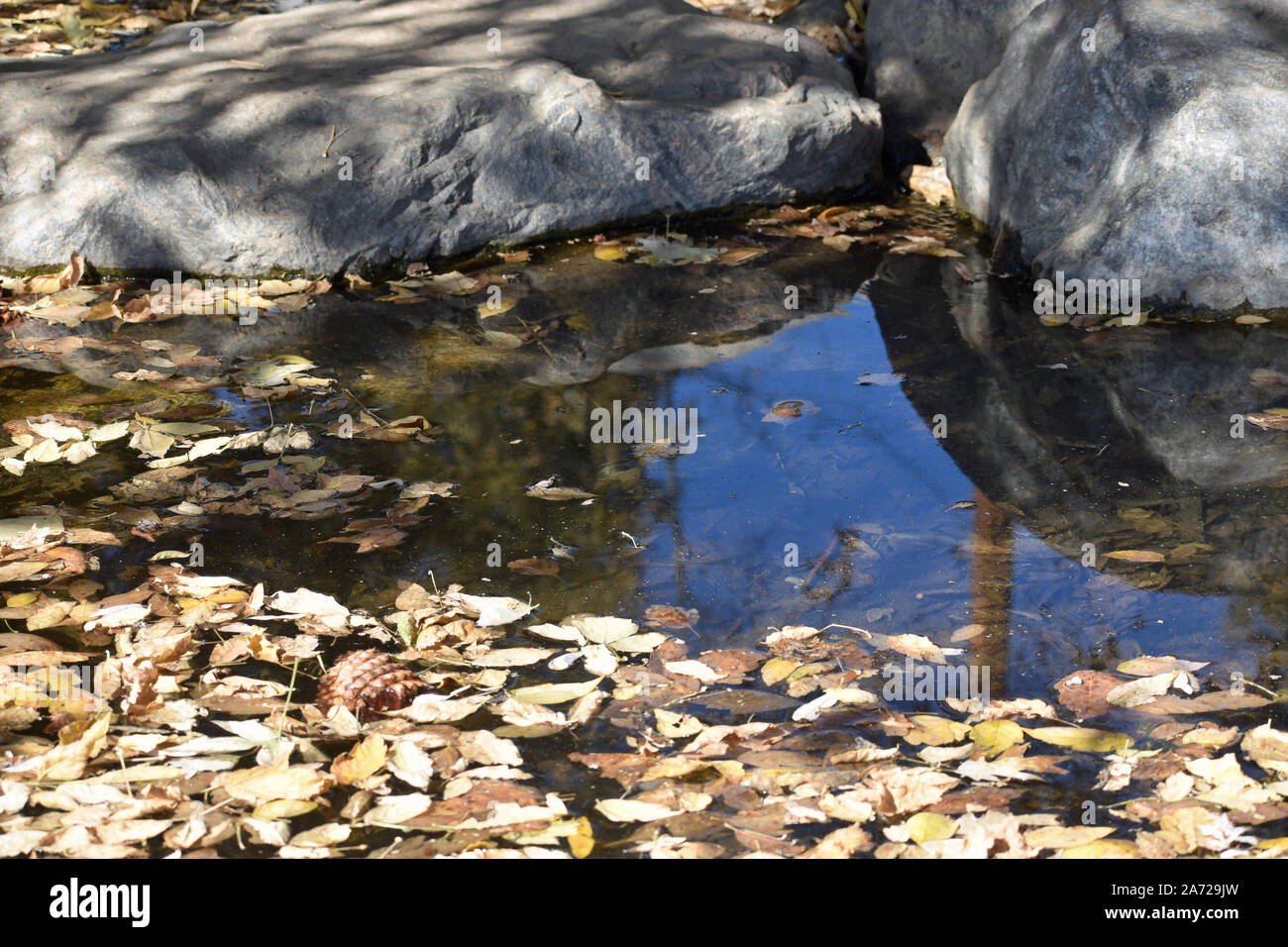 Creek In The Mountains With Autumn Leaves Stock Photo Alamy