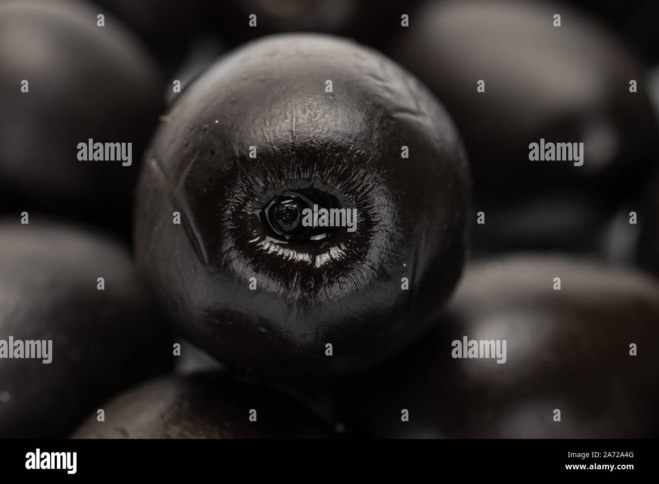 Lot of whole canned black olive isolated Stock Photo Alamy