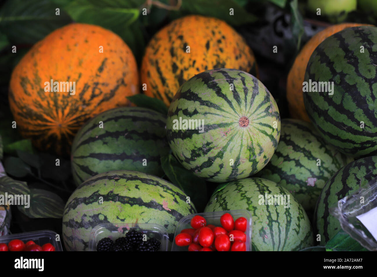 Many ripe watermelons on the market Stock Photo - Alamy