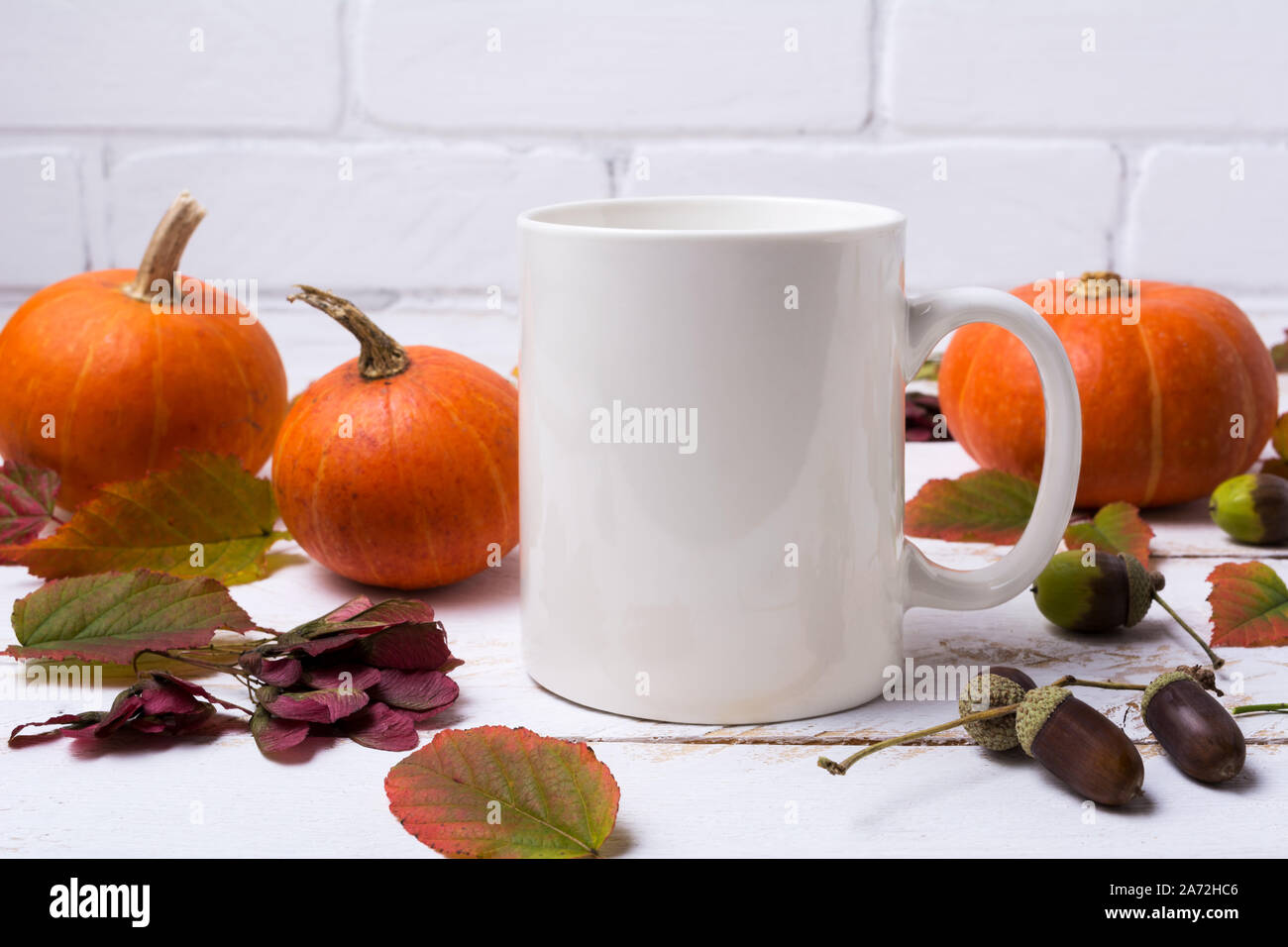 White coffee mug mockup with pumpkins, fall leaves and acorns. Empty mug mock up for design promotion. Stock Photo