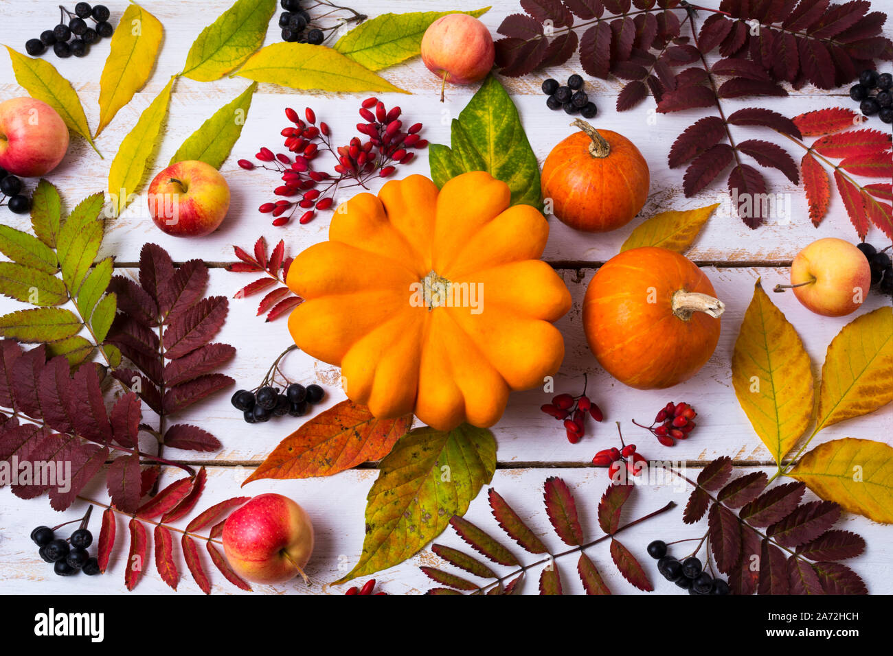 Thanksgiving rustic decor with pumpkin, apple, red and black berries, fall leaves on the white painted wooden background Stock Photo