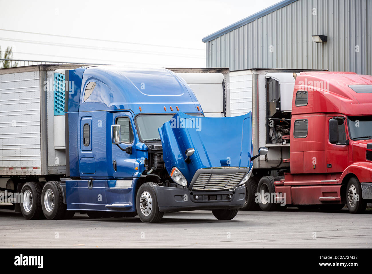 Big rig blue industrial semi truck with open hood and refrigerator semi ...