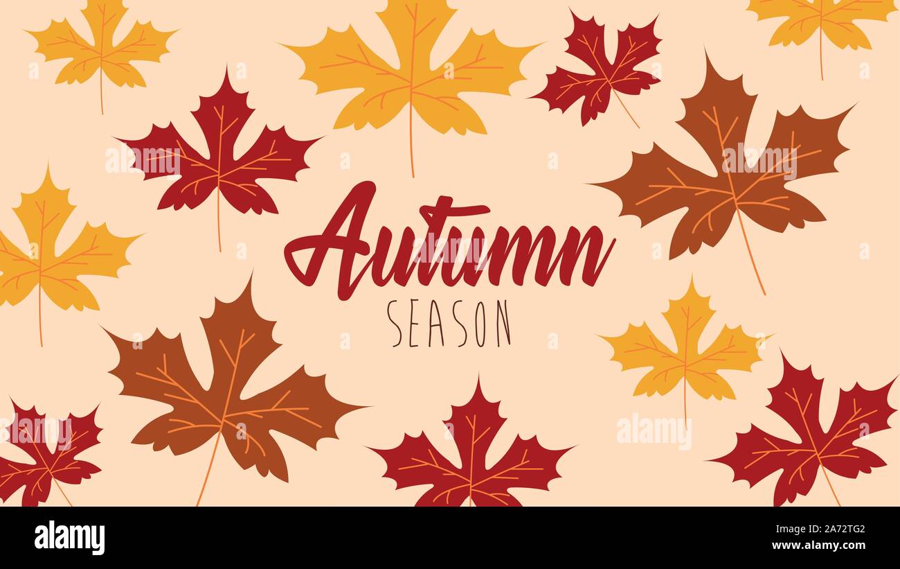 hello autumn season maple leafs pattern Stock Vector Image & Art - Alamy