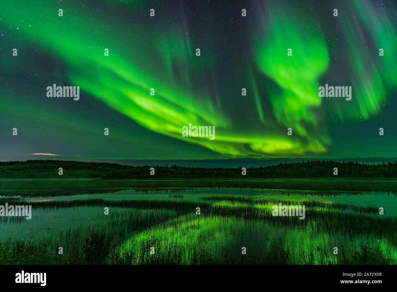 The Northern Lights over the end of Prosperous Lake, on the Ingraham Trail near Yellowknife, NWT, a popular spot for aurora watching in the area. This Stock Photo