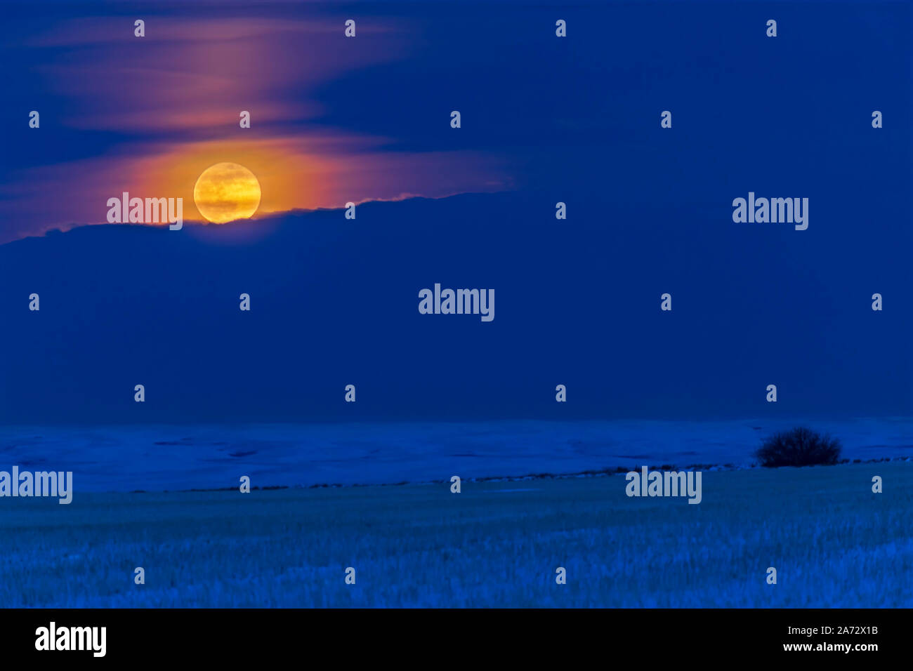 The “Super” Snow Moon of February 19, 2019, rising in the northeast over a snowy prairie field and distant rangeland hills in southern Alberta.  This Stock Photo