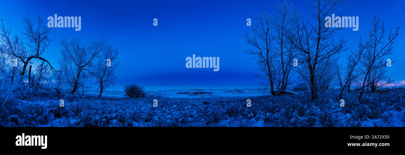 The dark arc of Earth’s shadow rising on a crisp November evening with trees covered in hoar frost from a foggy night the evening before. This was def Stock Photo