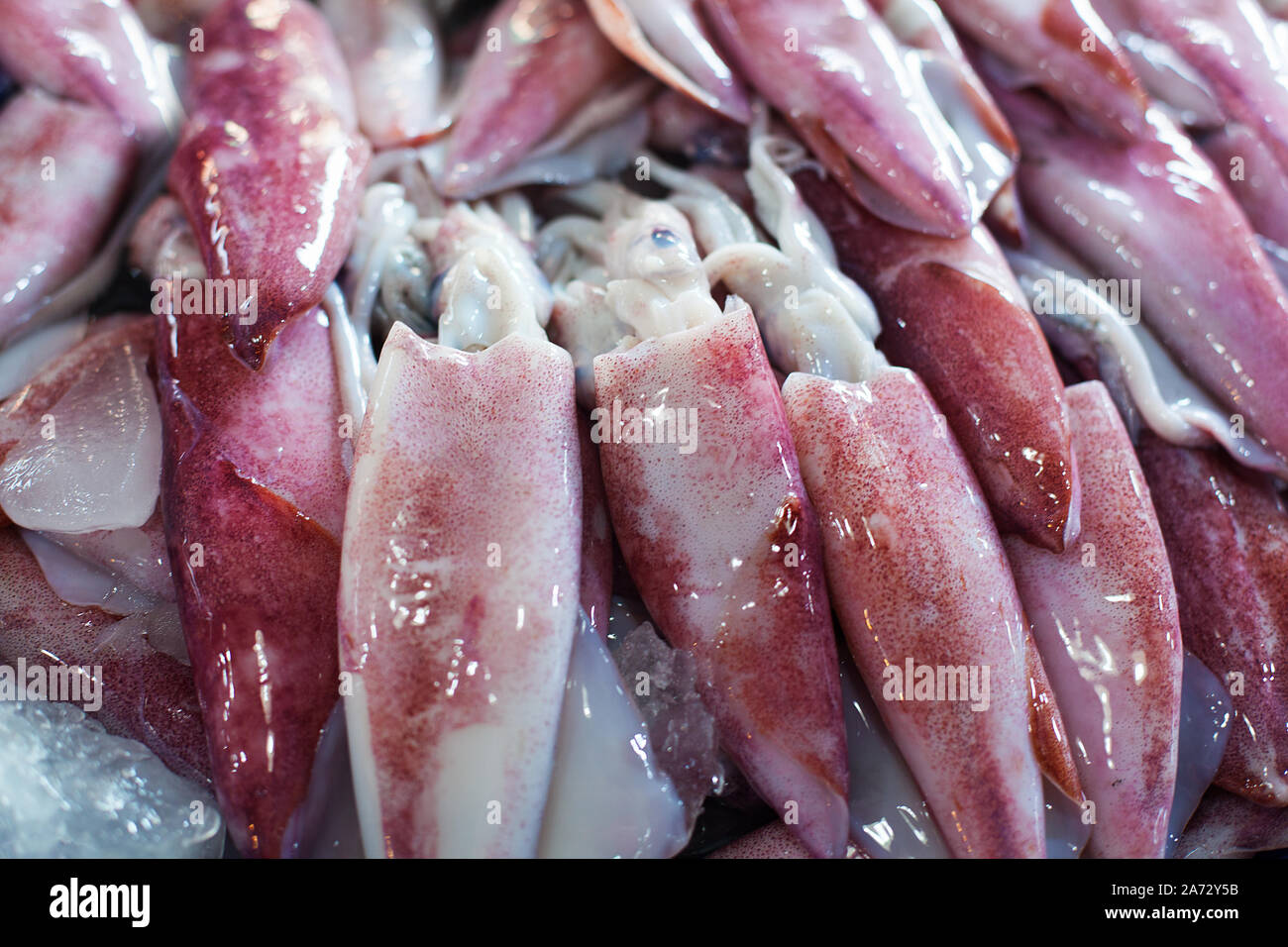 Raw Calamari High Resolution Stock Photography And Images Alamy Raw Calamari High Resolution Stock Photography And Images Alamy