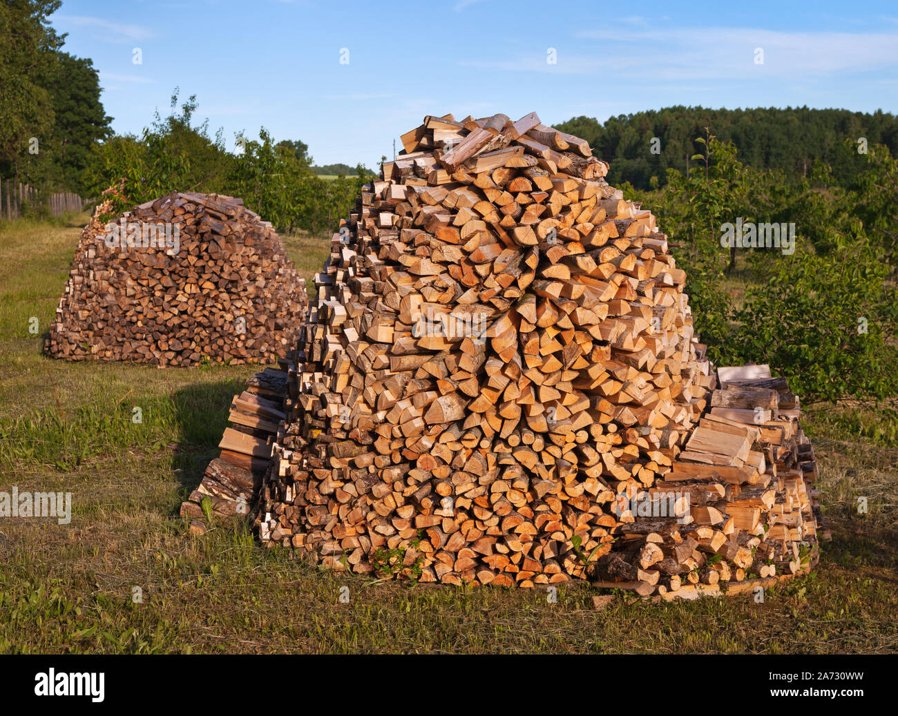Pile of firewood outside is drying Stock Photo Alamy