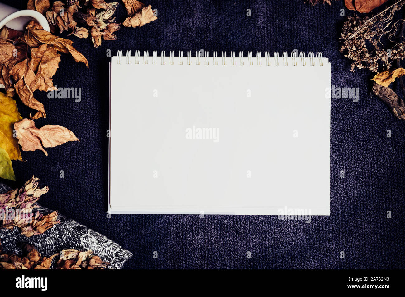 Autumn winter top view flat lay. Blank white notebook page surrounded by dry brown yellow leaves and flowers on dark blue background. Stock Photo