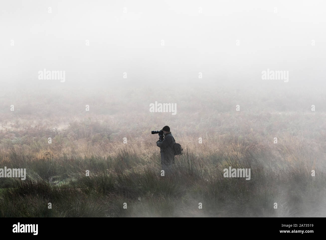 UK Weather: A photographer looks for wildlife images during an early misty morning in central Richmond Park. London, UK. Stock Photo