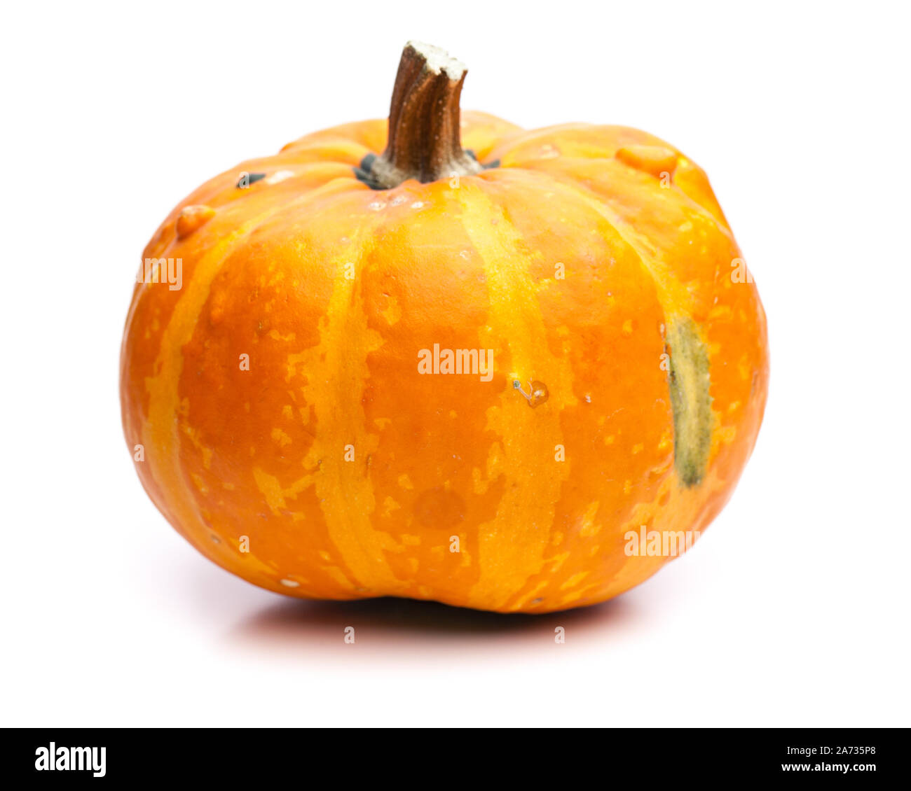 Round pumpkin isolated on white background Stock Photo