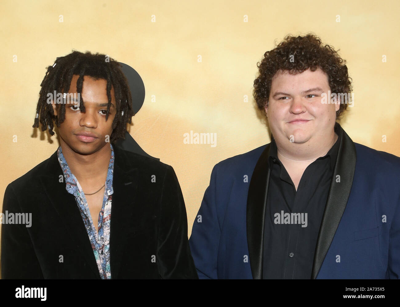 Los Angeles, Ca. 29th Oct, 2019. Henry Hunter Hall, Guest, at the Los Angeles Premiere of Harriet at The Orpheum in Los Angeles, California on October 29, 2019. Credit: Faye Sadou/Media Punch/Alamy Live News Stock Photo