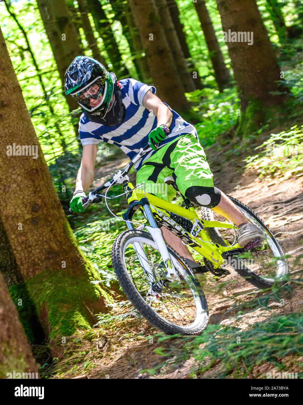 Mountainbike riders doing a courageous downhill on forest trails Stock