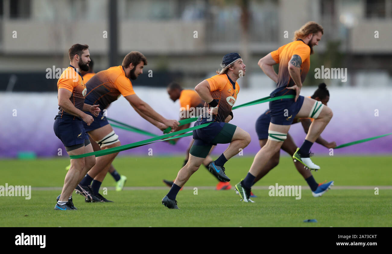 Faf De Klerk Of South Africa High Resolution Stock Photography And Images Alamy