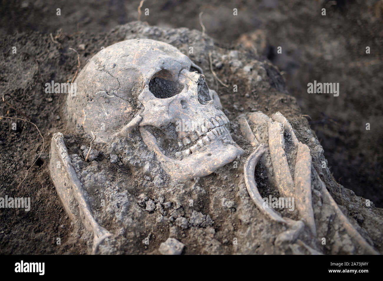 Serbia, September 27, 2019: Human remains from the Roman period discovered during archaeological excavations in Vinča Stock Photo